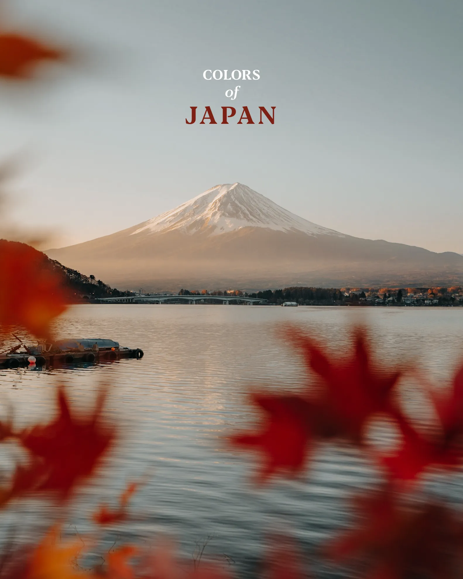 ANA Japan, photo 1