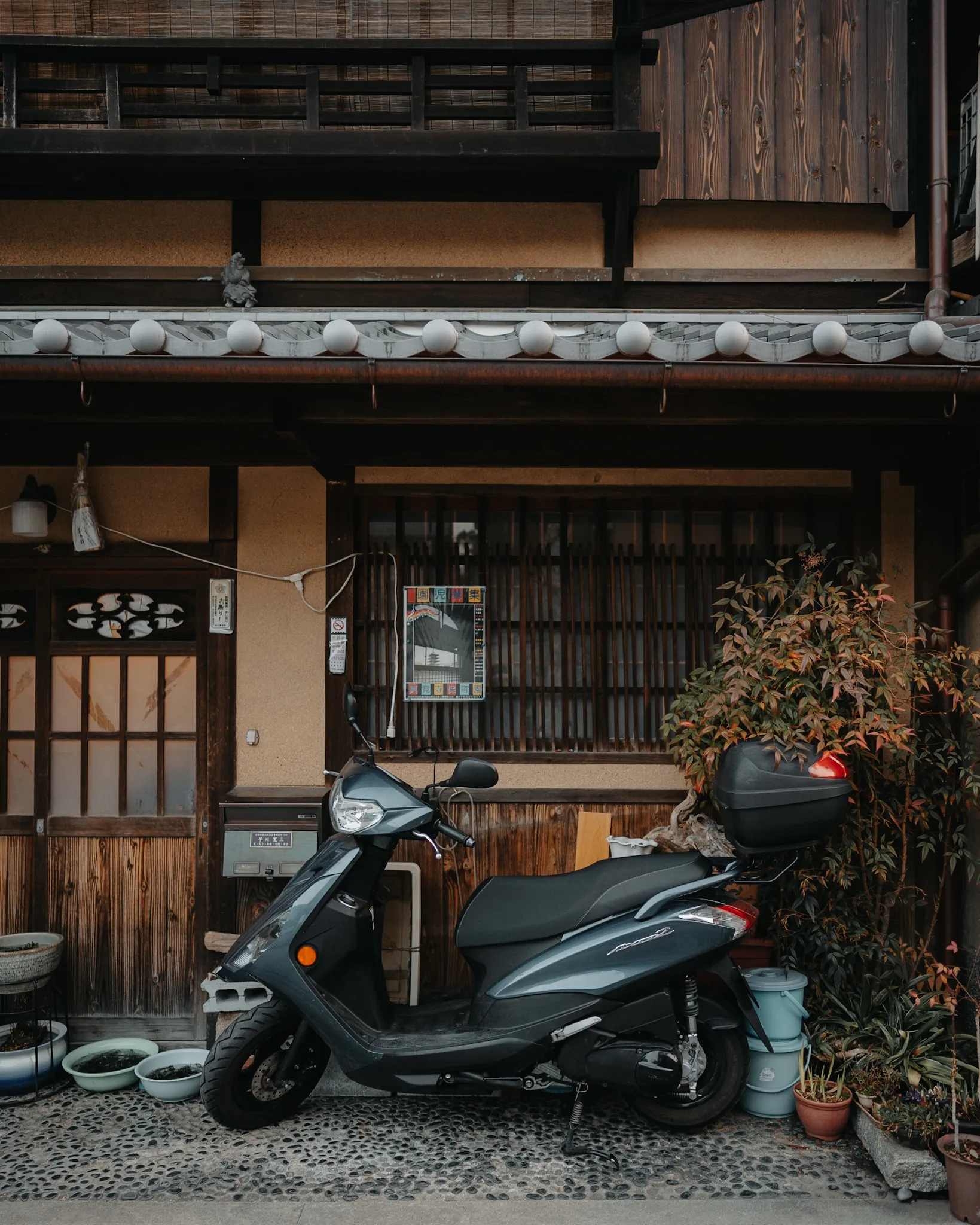 ANA Japan, photo 4
