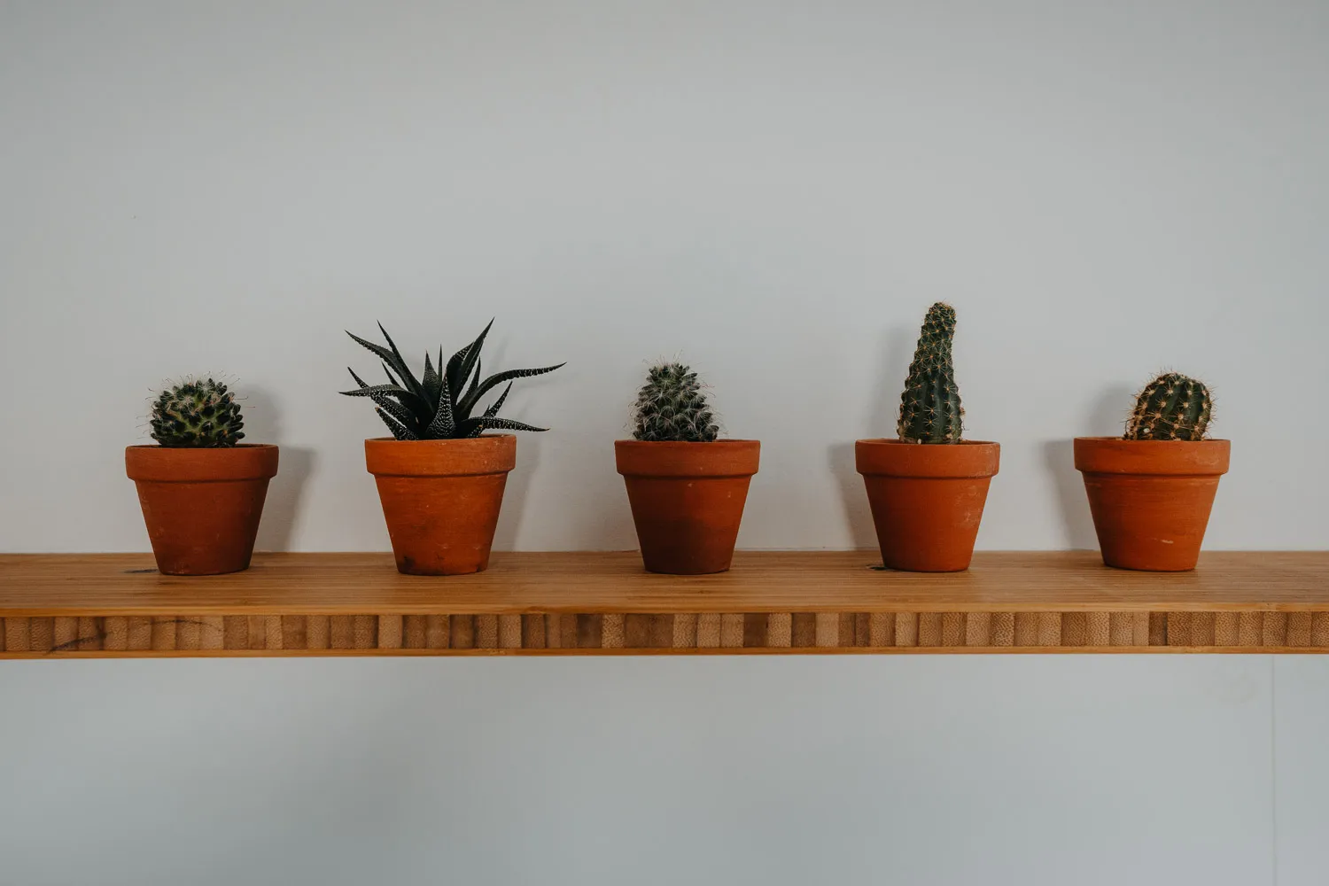 Airbnb, photo 7