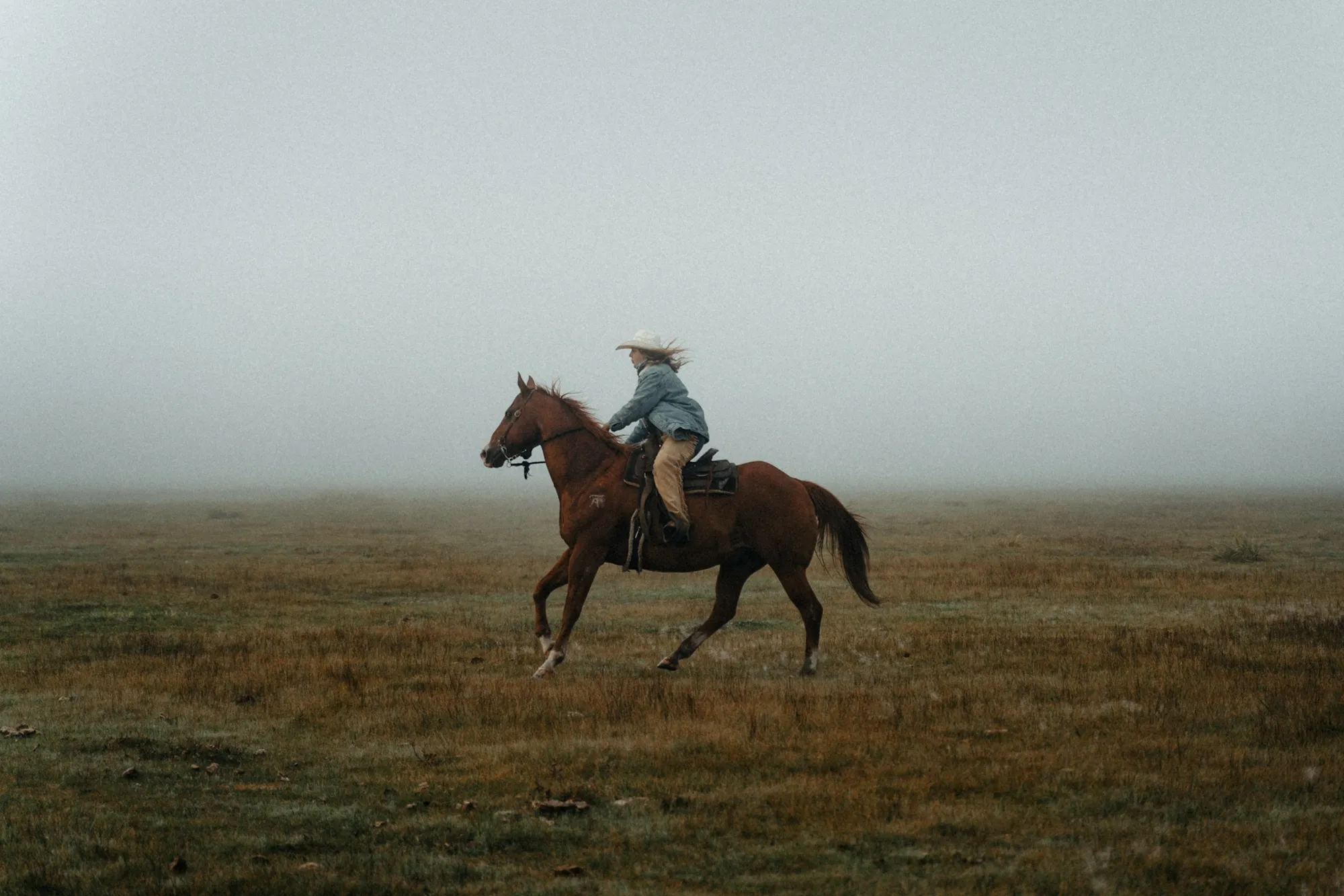 Collected Works photograph 9