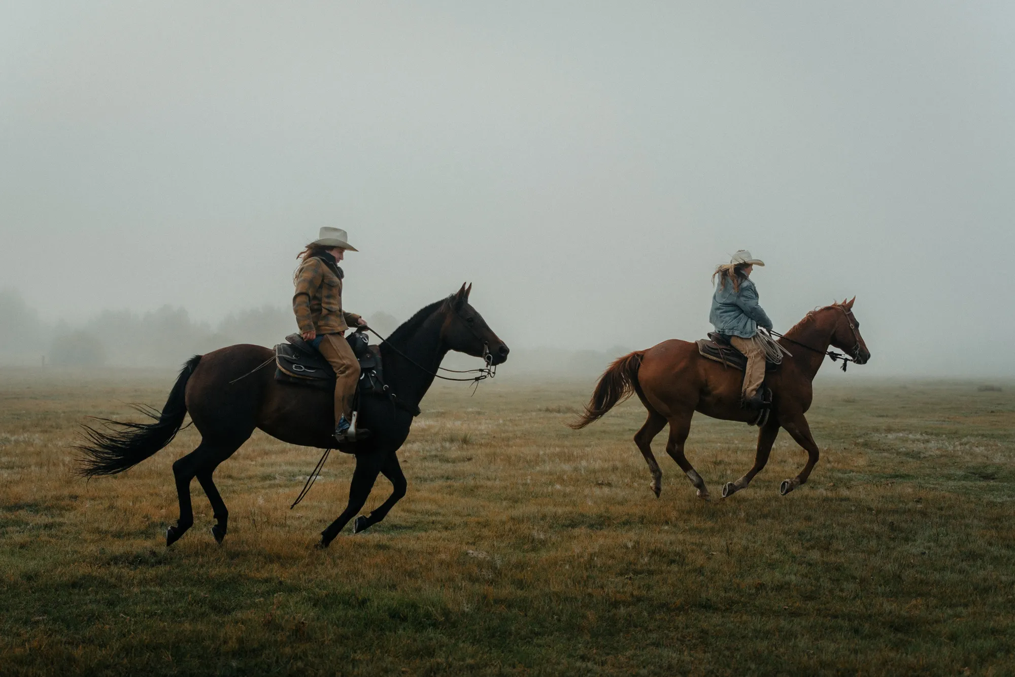 Collected Works photograph 19
