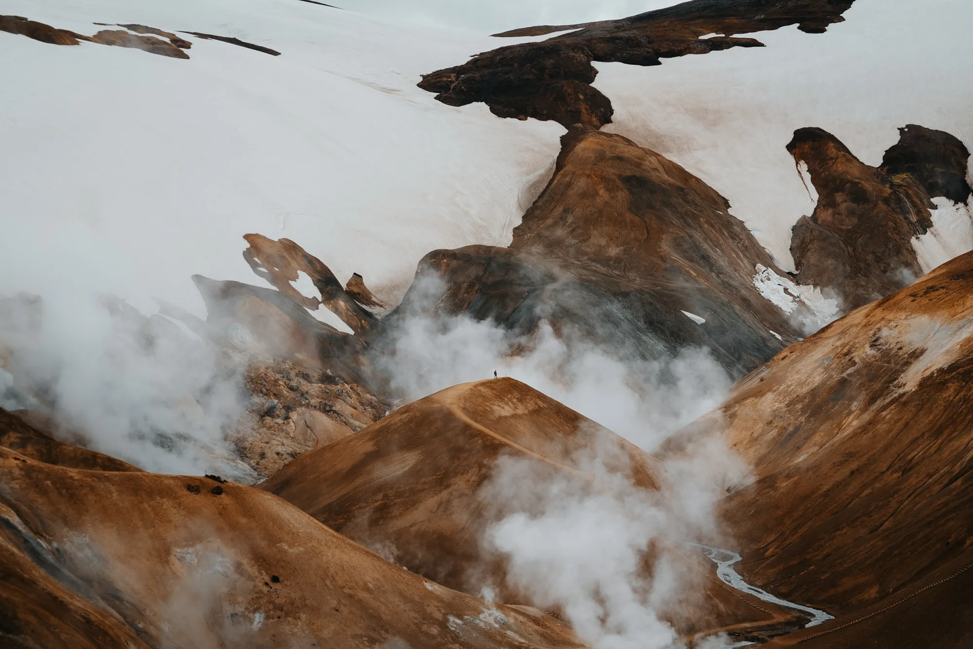 Collected Works photograph 15