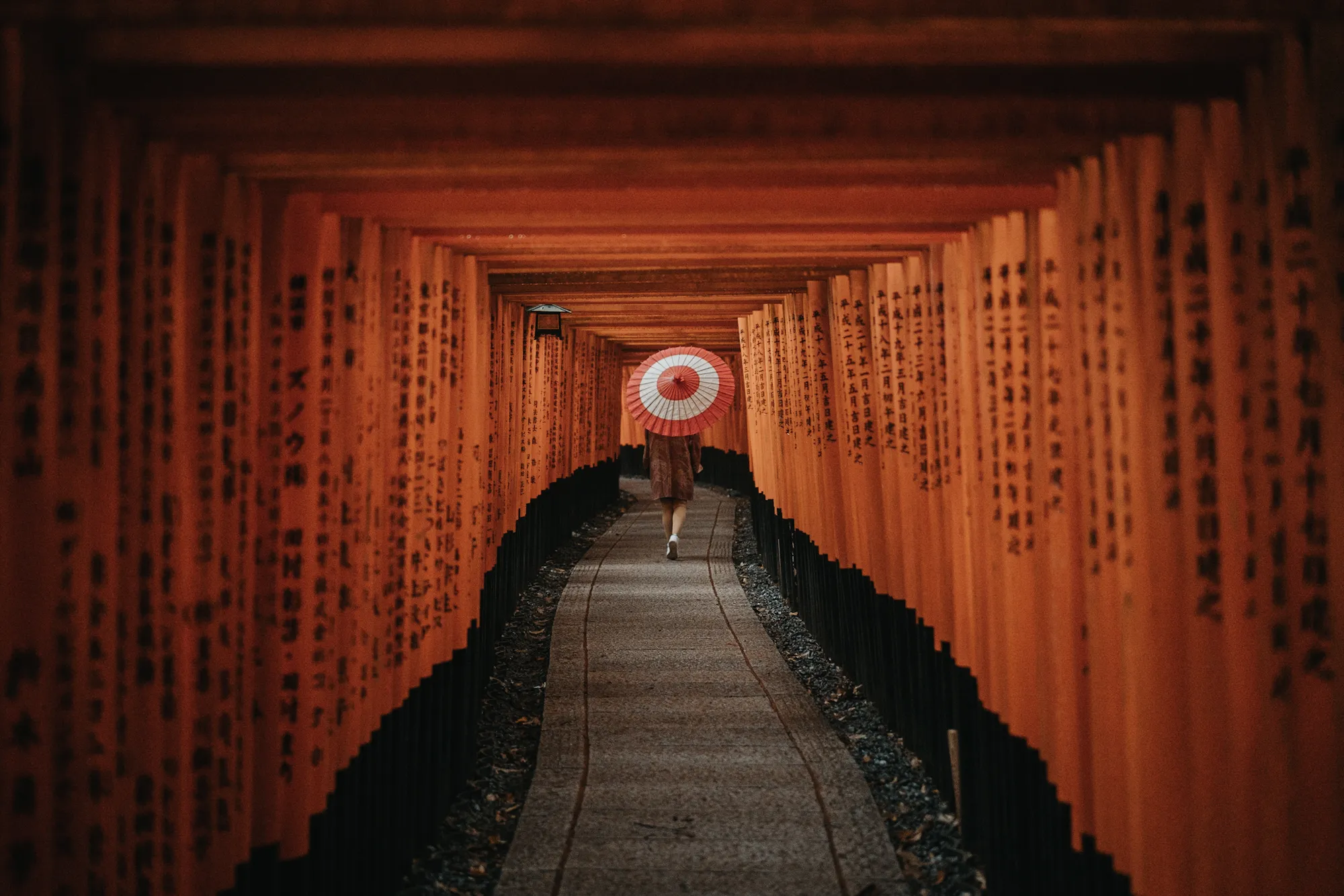 Collected Works photograph 28