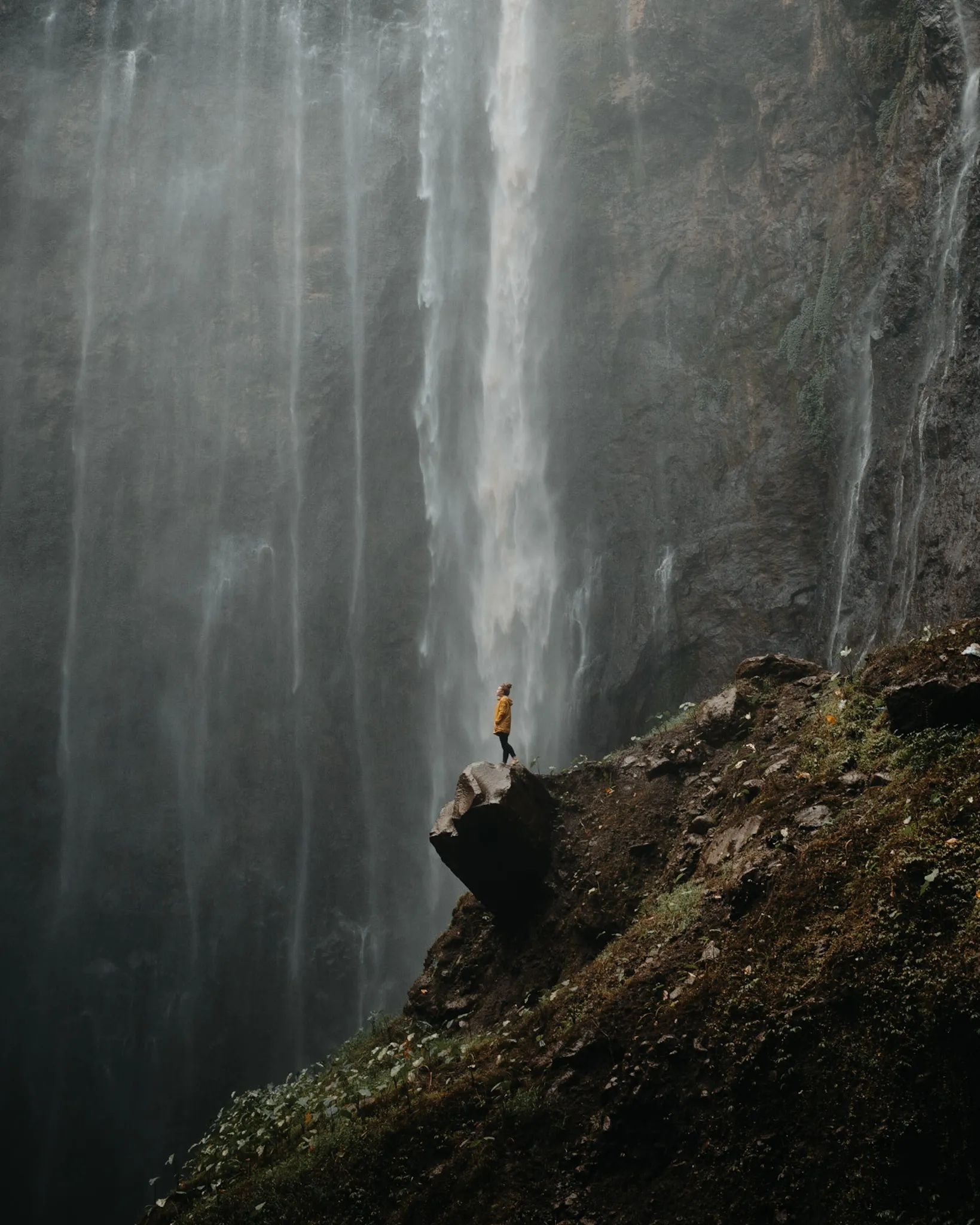 Collected Works photograph 7