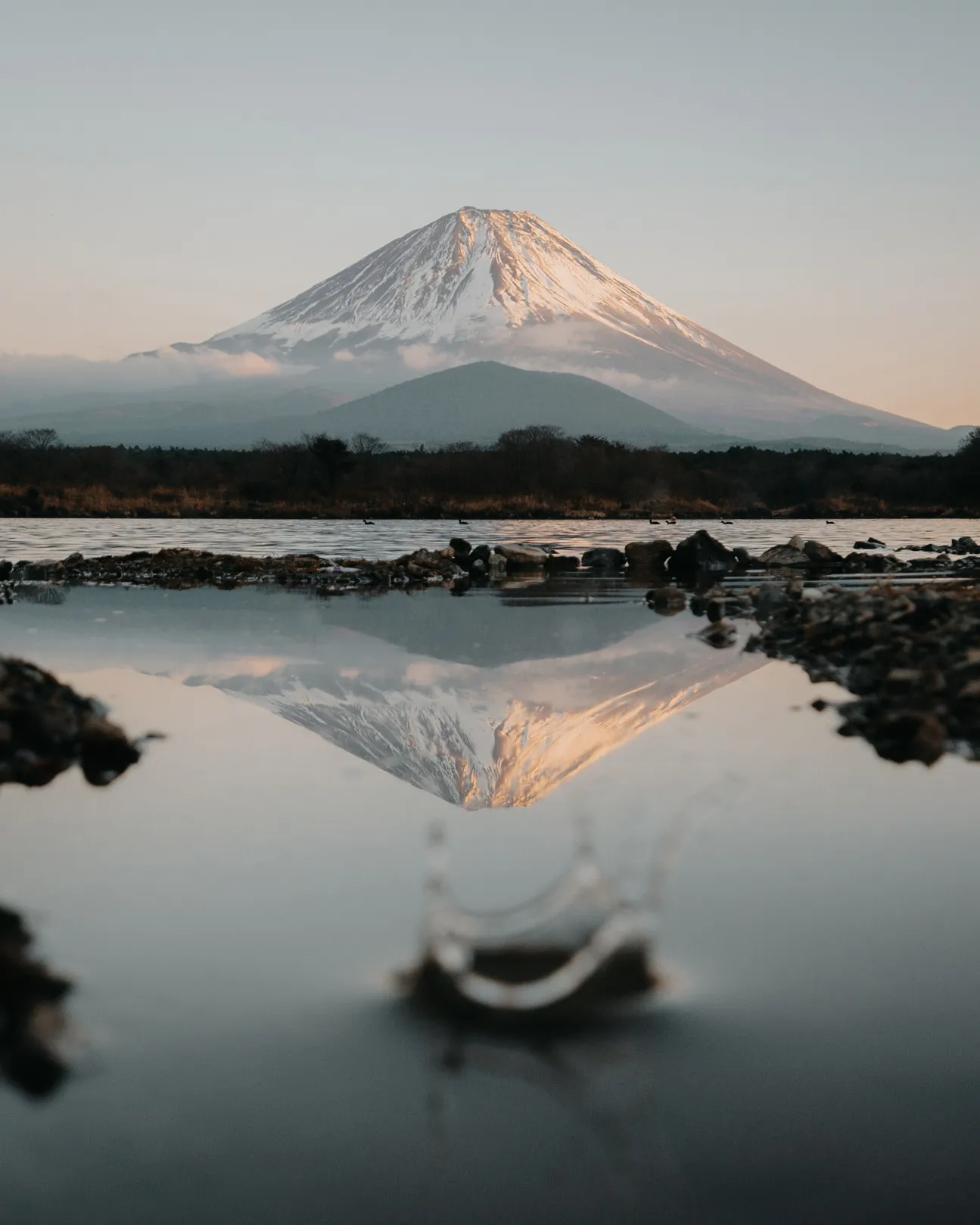 Selected photograph 3