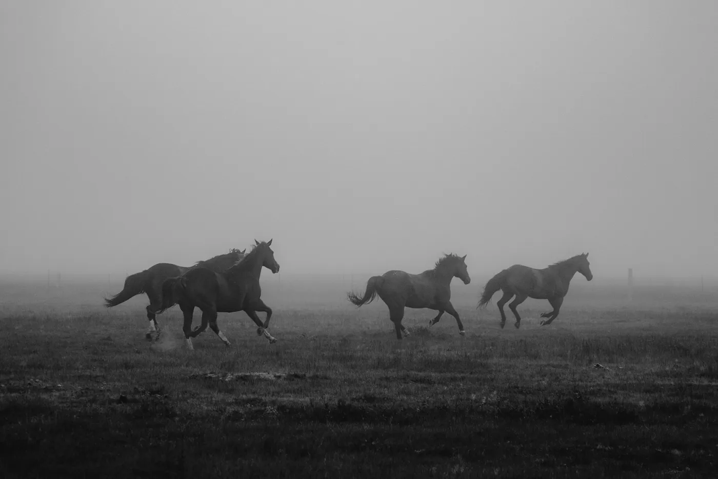 Selected photograph 8