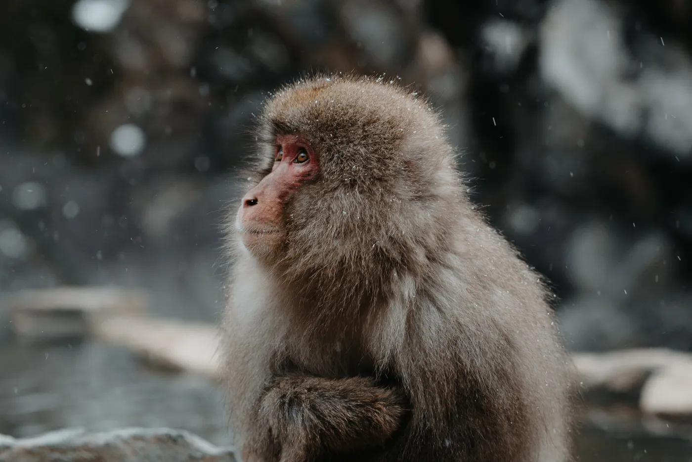 Selected photograph 10