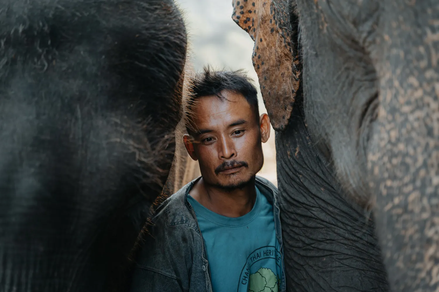 Sony x Thailand, photo 12