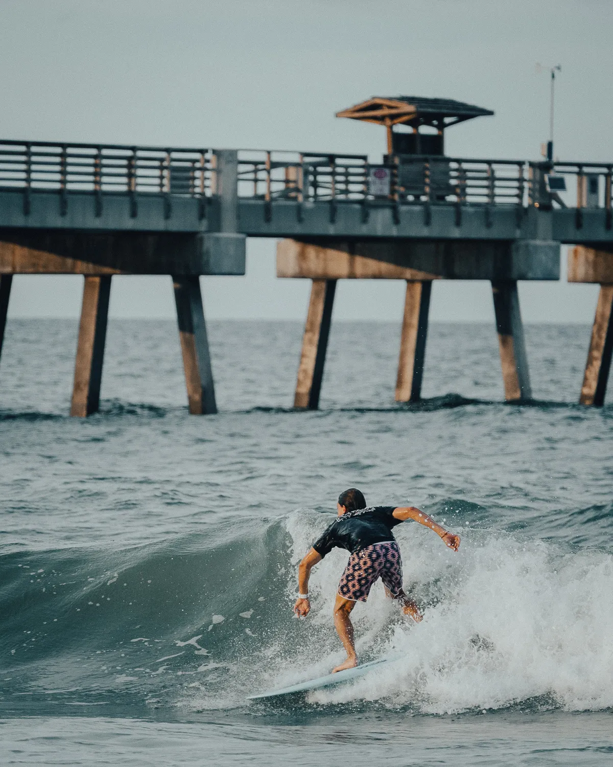 Visit Jacksonville, photo 19
